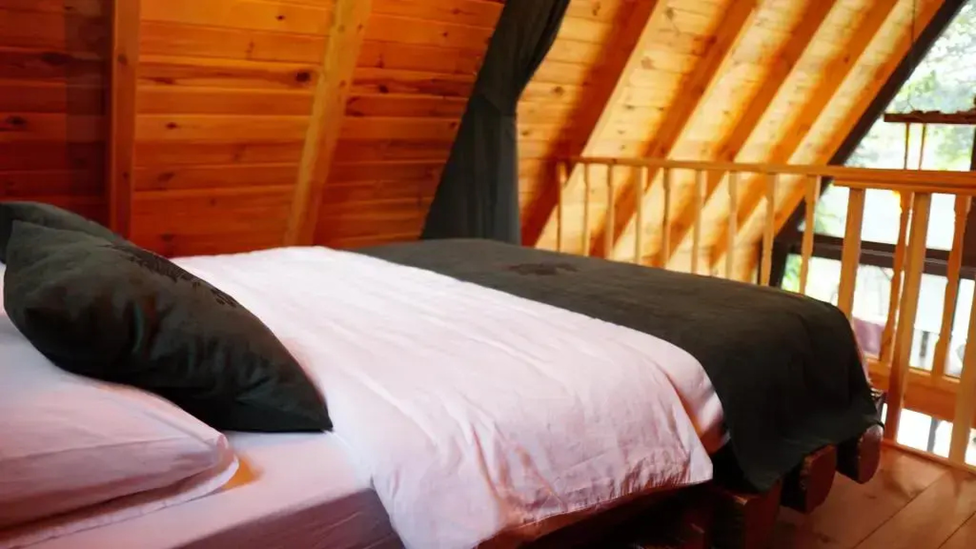 Dogallife Suit Bungalov