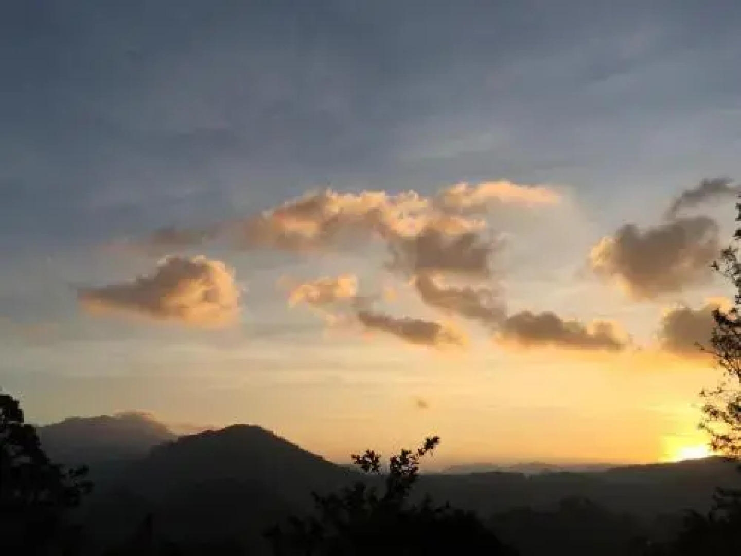 The 1964 Boutique Hostel