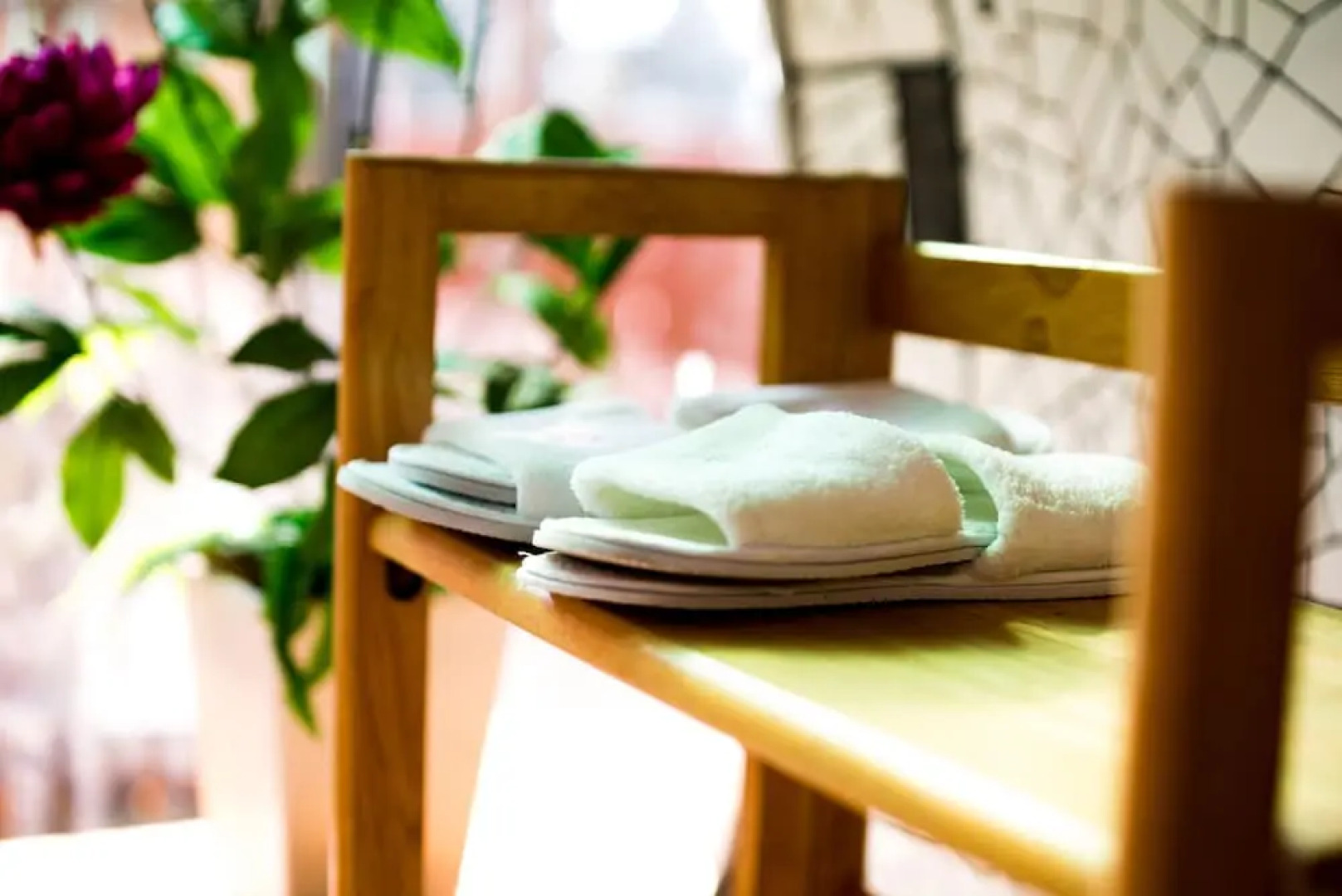 The Mothership Hostel