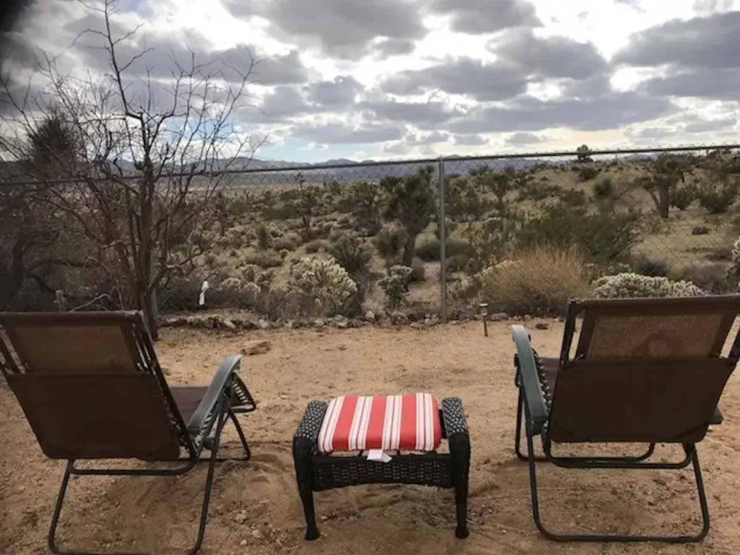Desert Oasis - Joshua tree peaceful retreat Home