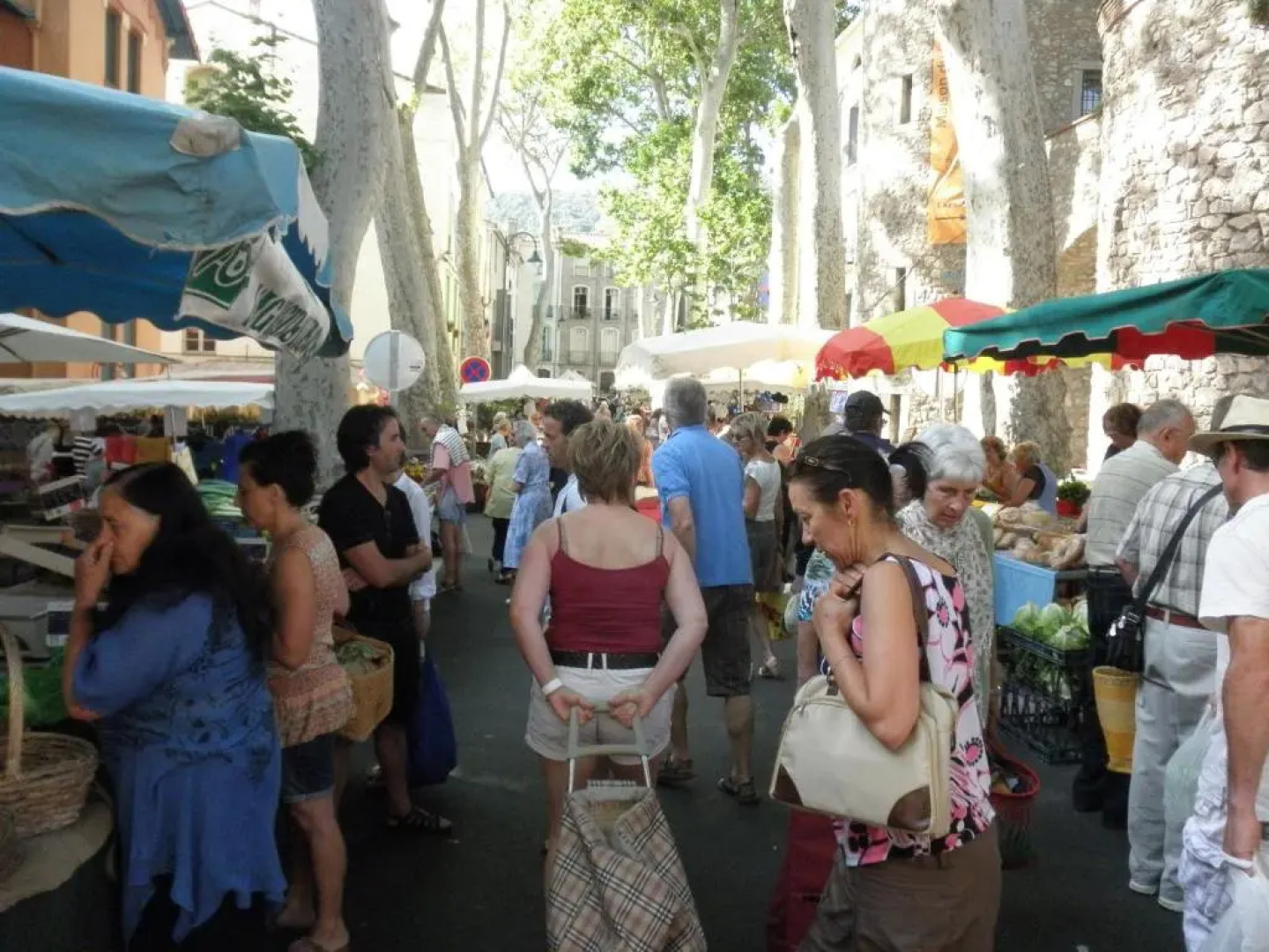 Maison Chêne Liège