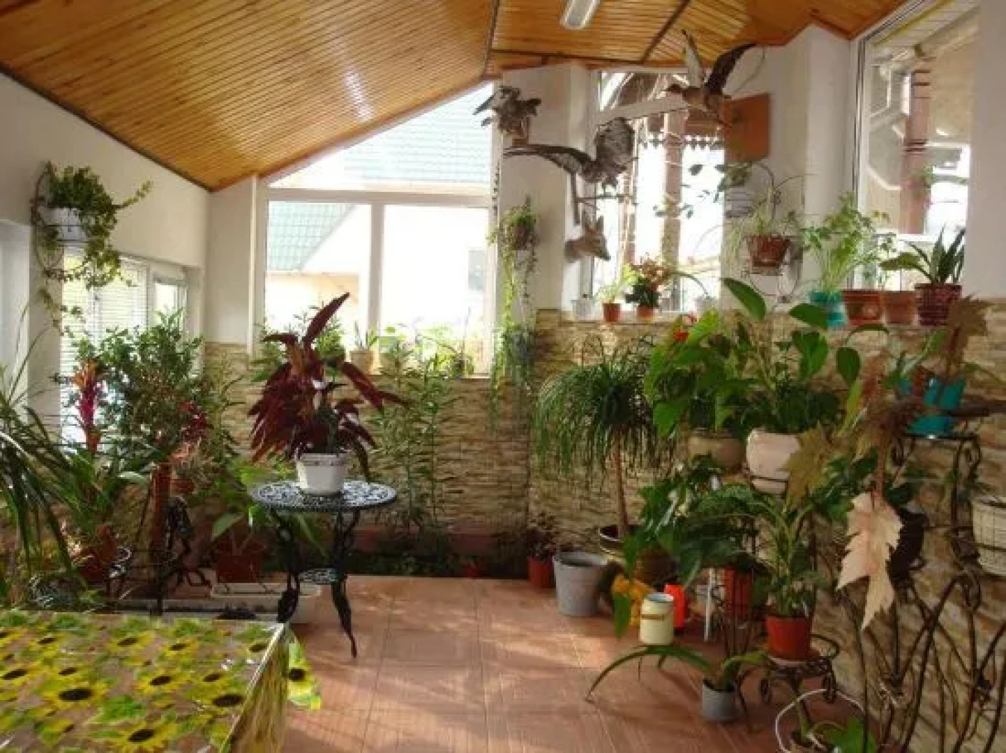 Vyshenka Guest House