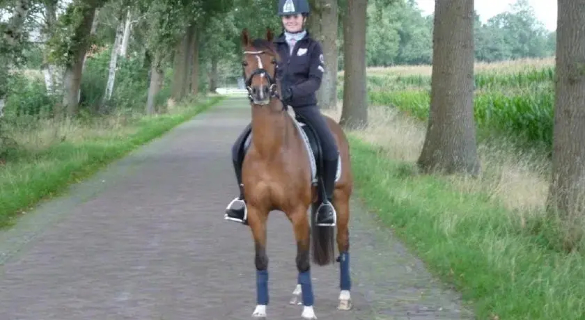 Vakantiewoning Aan den Esch