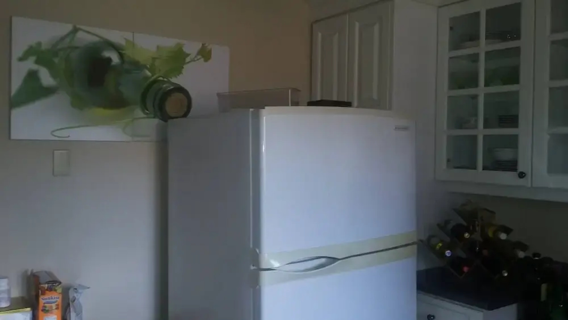 Big House for Share Near 401-east And Pickering Town Centre