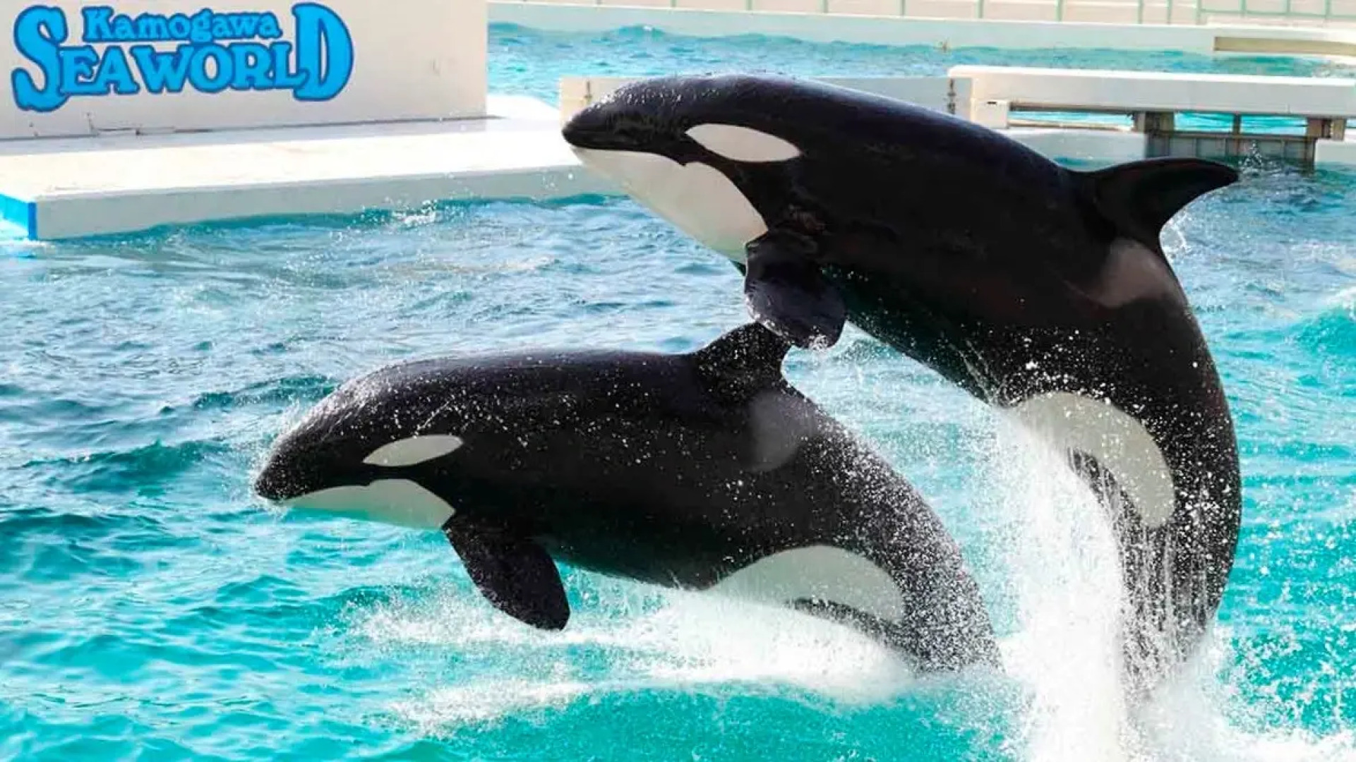 Kominato Onsen Miiri no Yu Homeiden