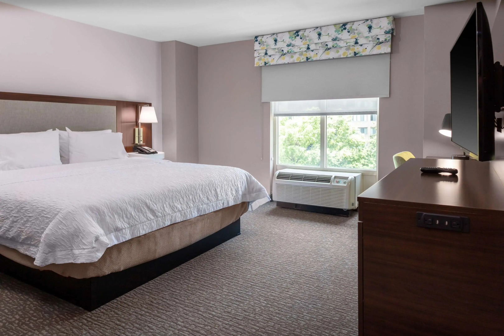 Hampton Inn & Suites Arlington Crystal City DCA