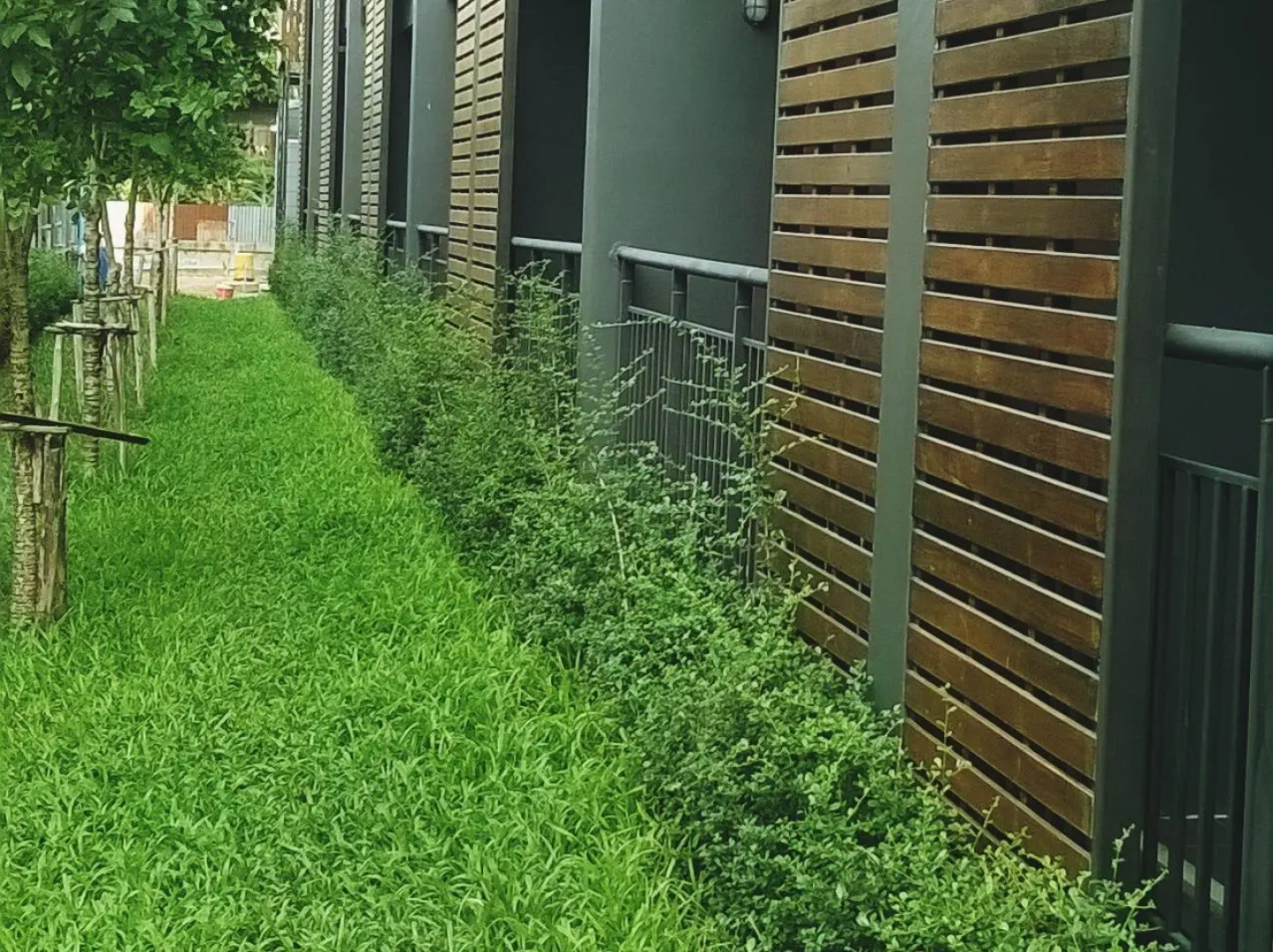 Pocket Park Chaiyaphum Apartment