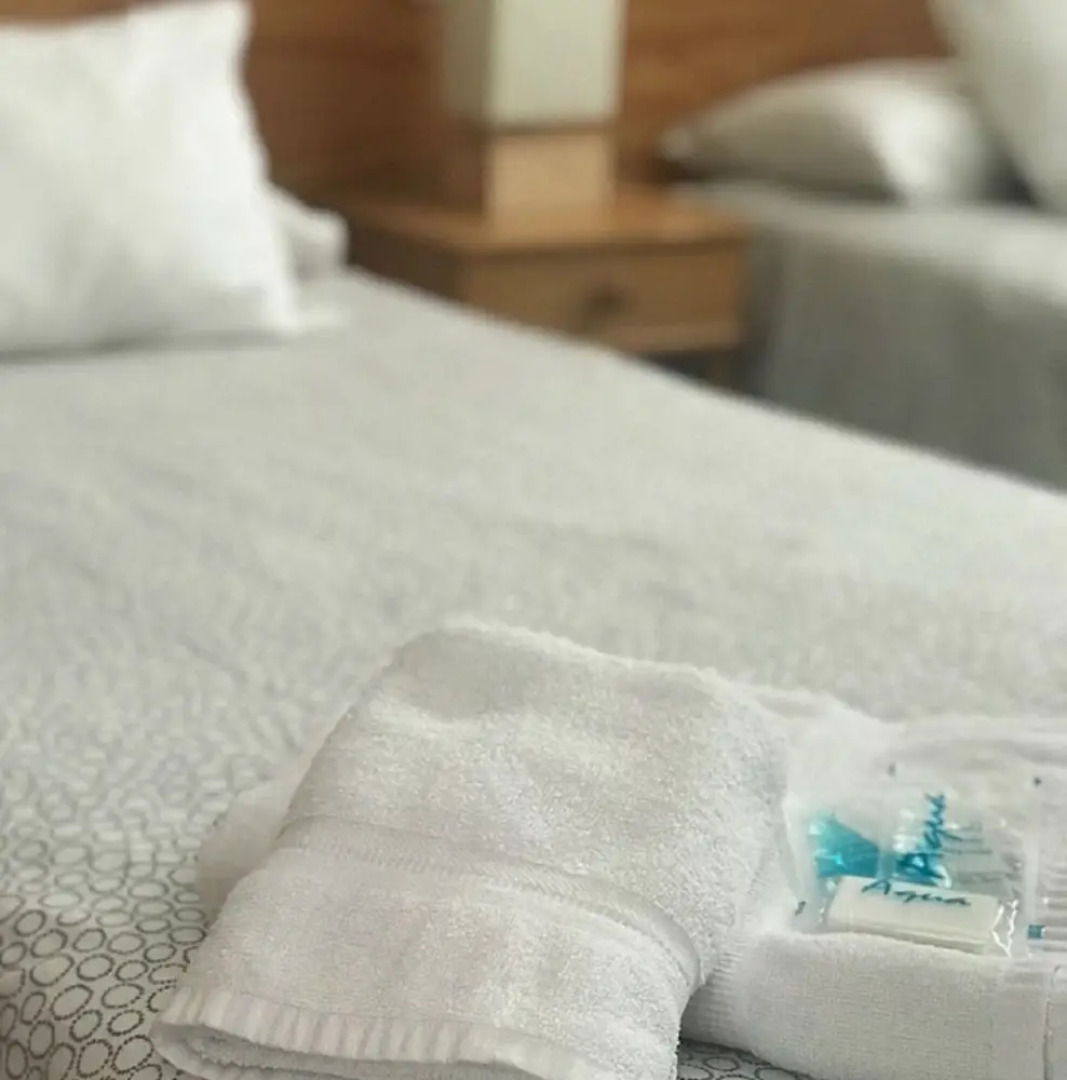 Penthouse las Flores