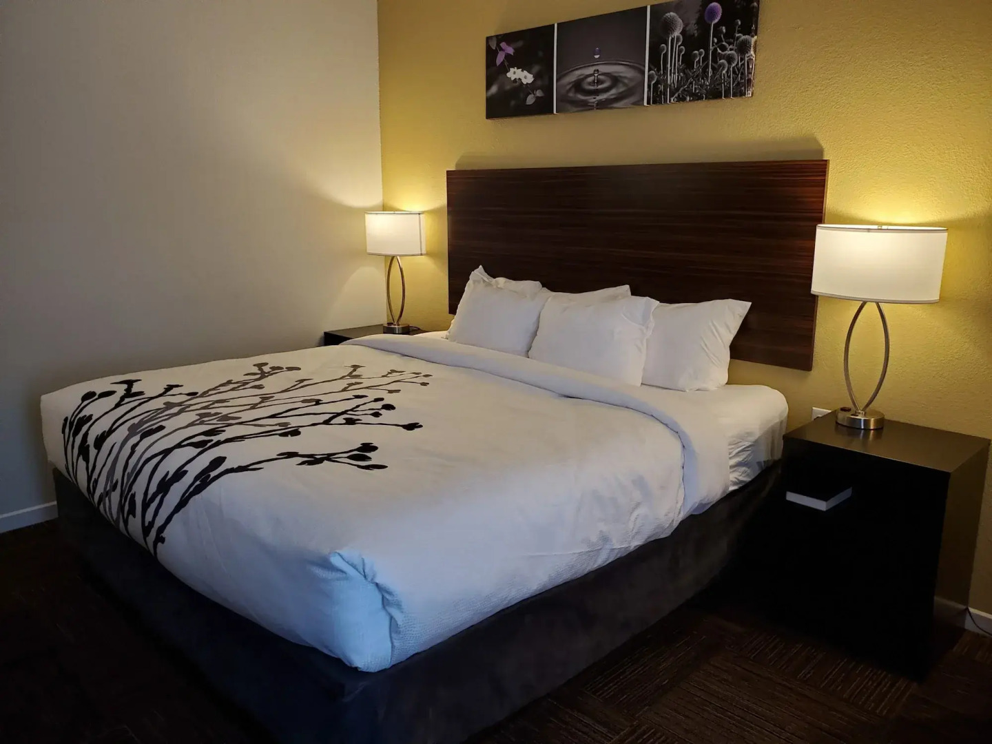 Sleep Inn And Suites