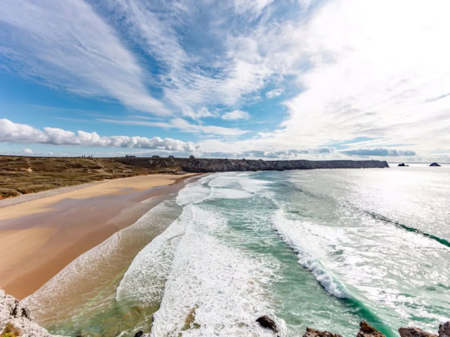 Le Vieux Chêne (CMS106)