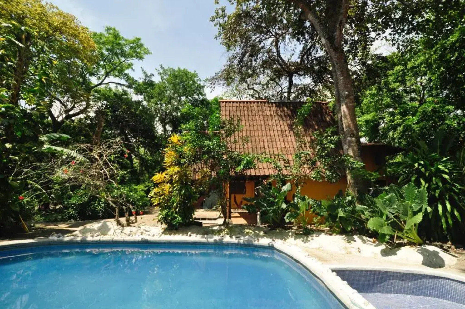 The Howler Monkey Hotel