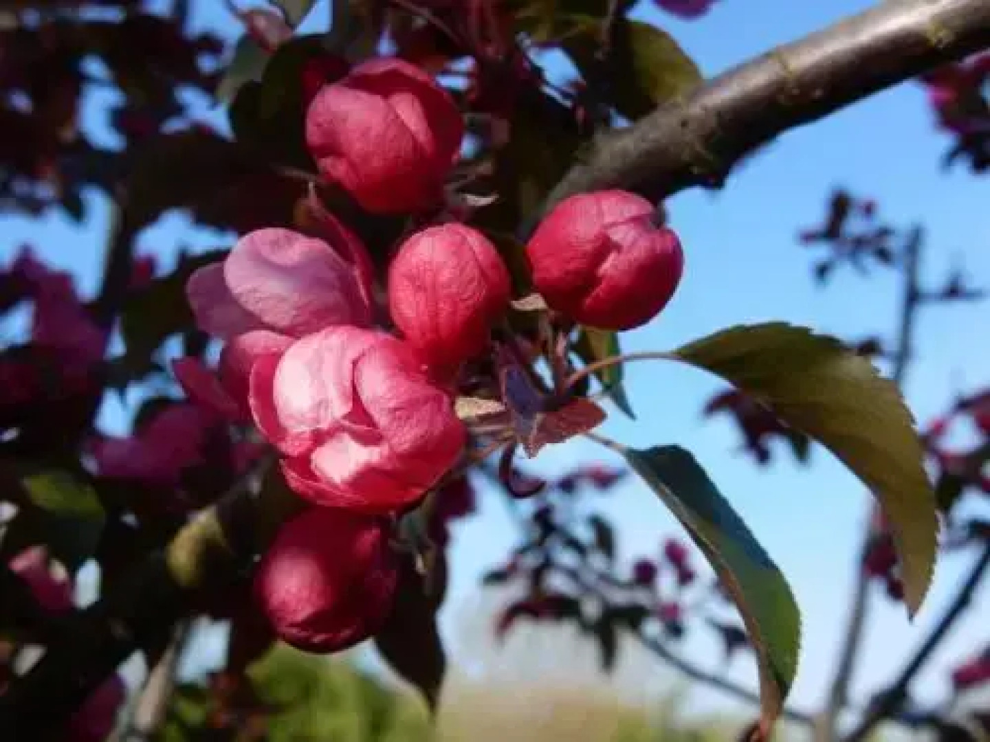 The Farm Snead Bed & Breakfast