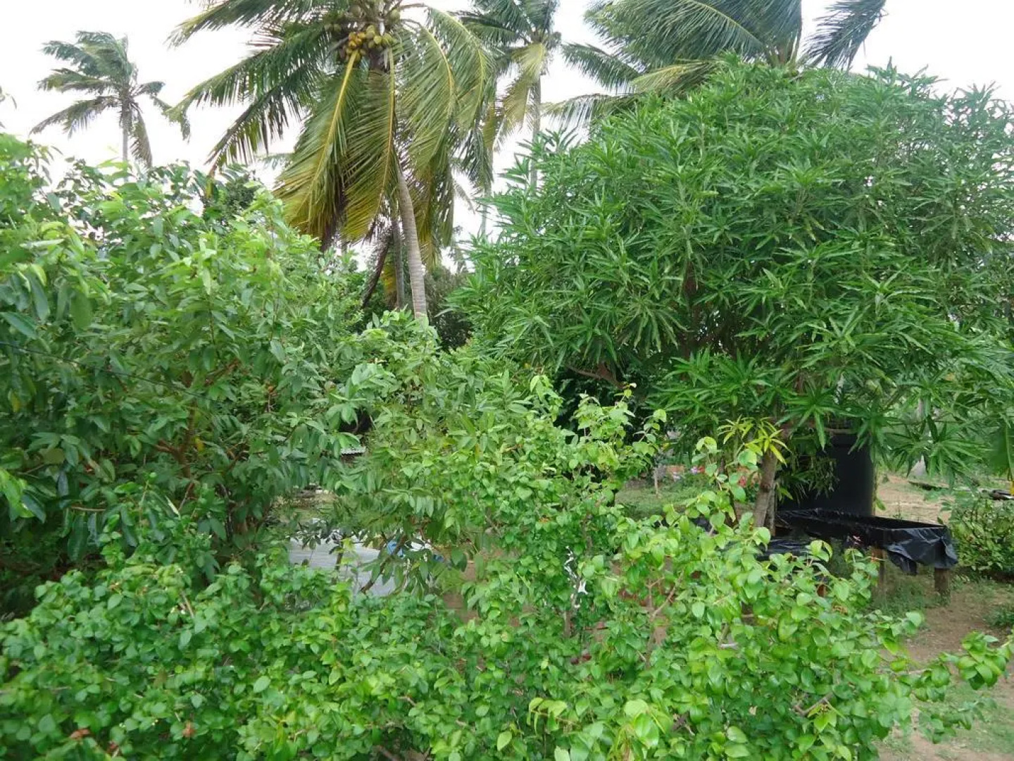 Posada Sunshine Paradise