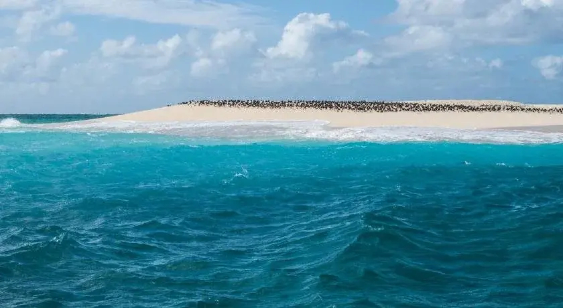 Hotel Résidence Maharajah