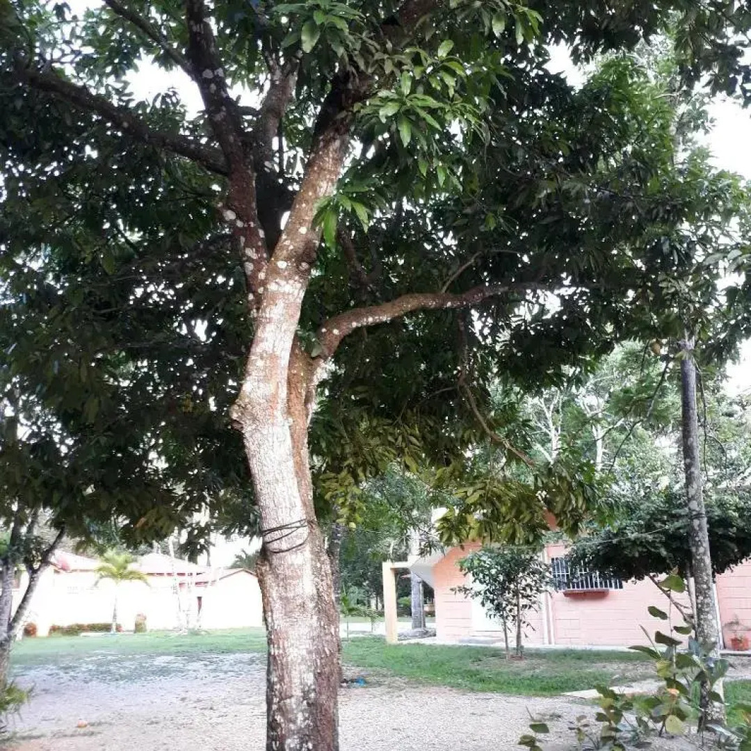 The Place to Enjoy Life!!!