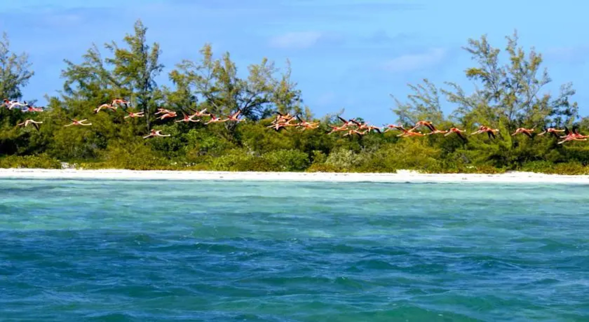 Tranquility on the bay