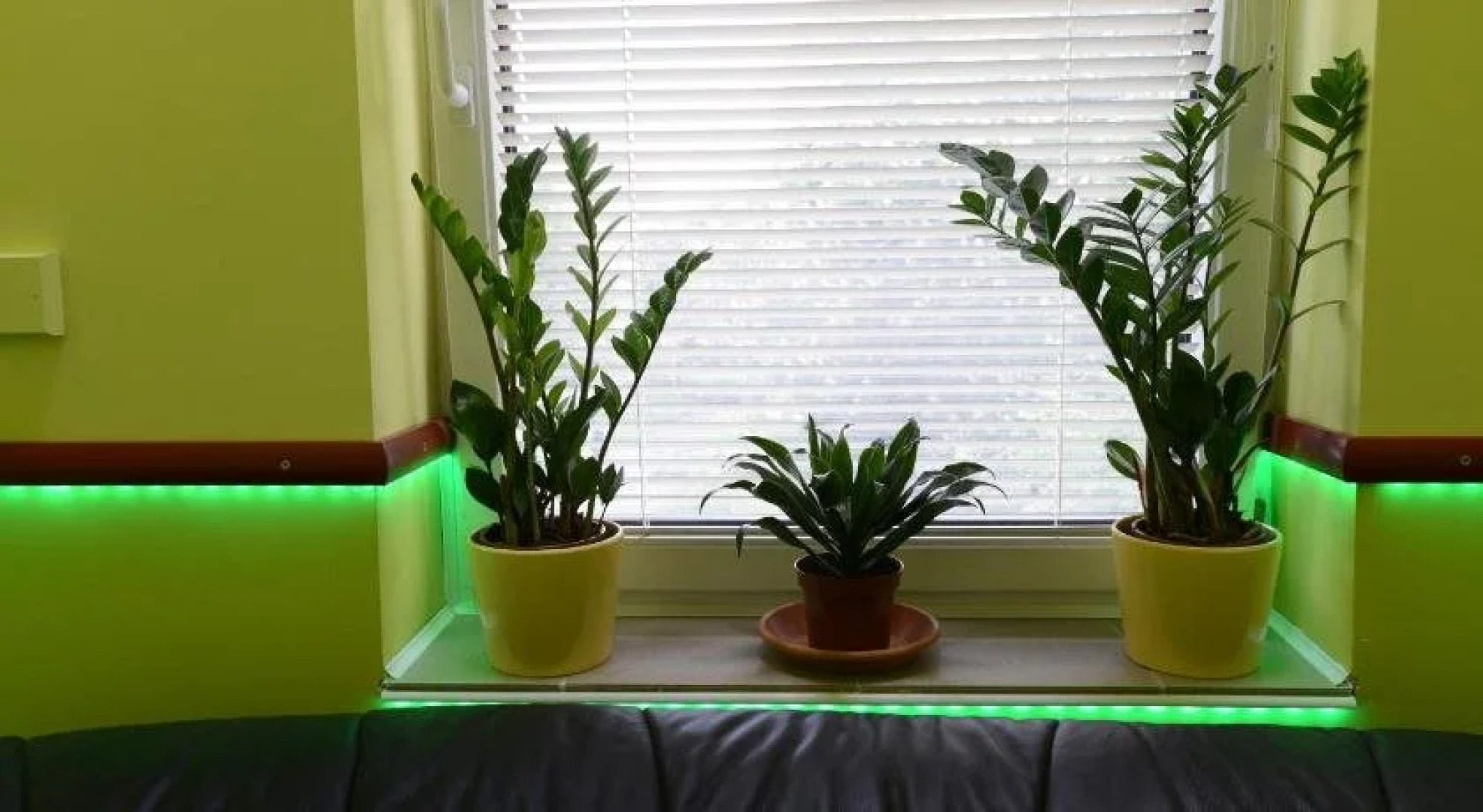 Nexus Apartman Szeged