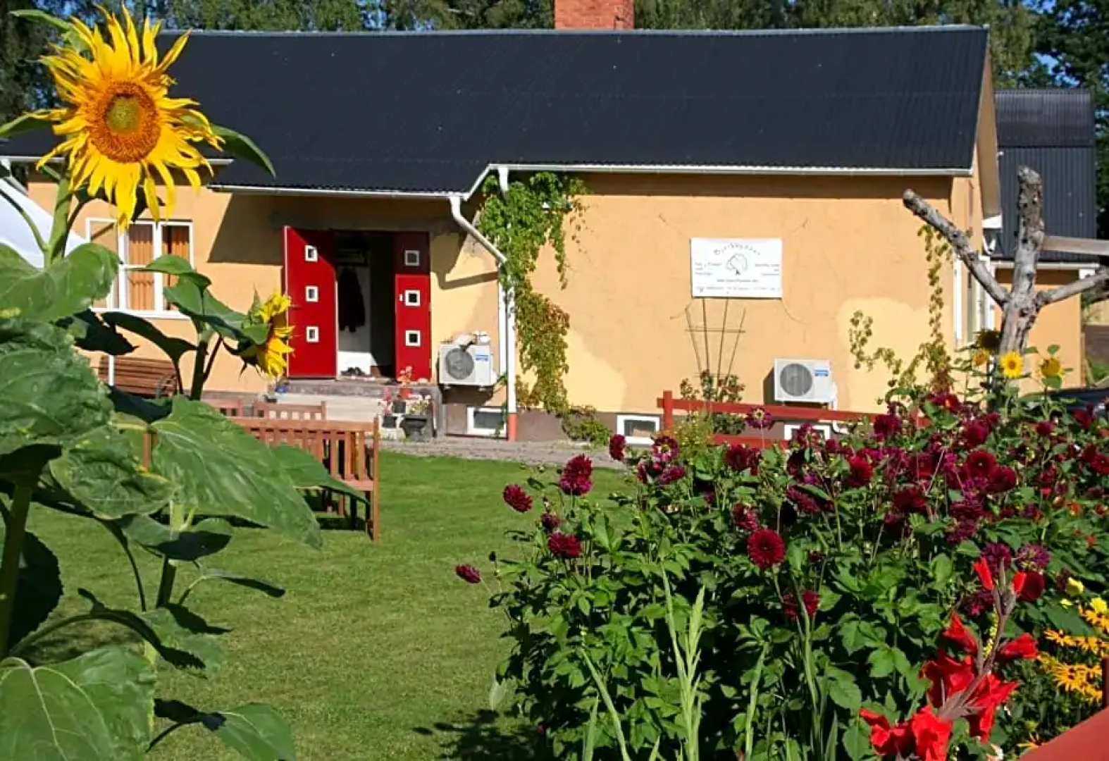 Bed & Breakfast Björkhyddan