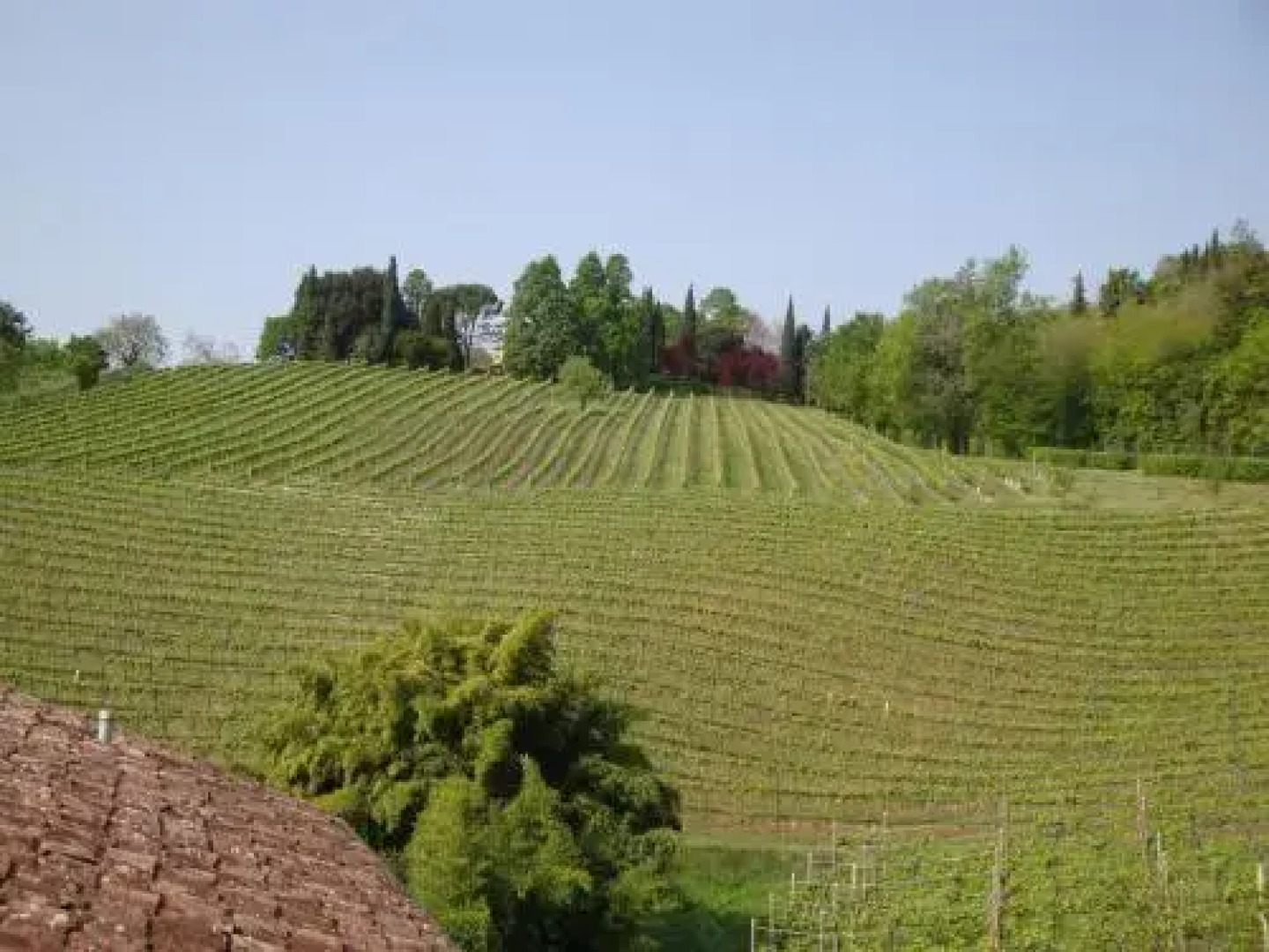 Sporting Hotel Ragno Doro