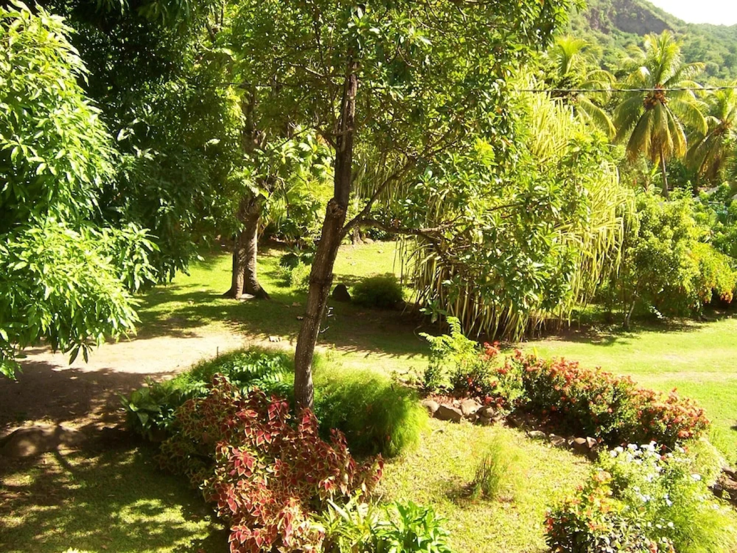 House With 6 Bedrooms in Vieux Habitants, With Enclosed Garden and Wif