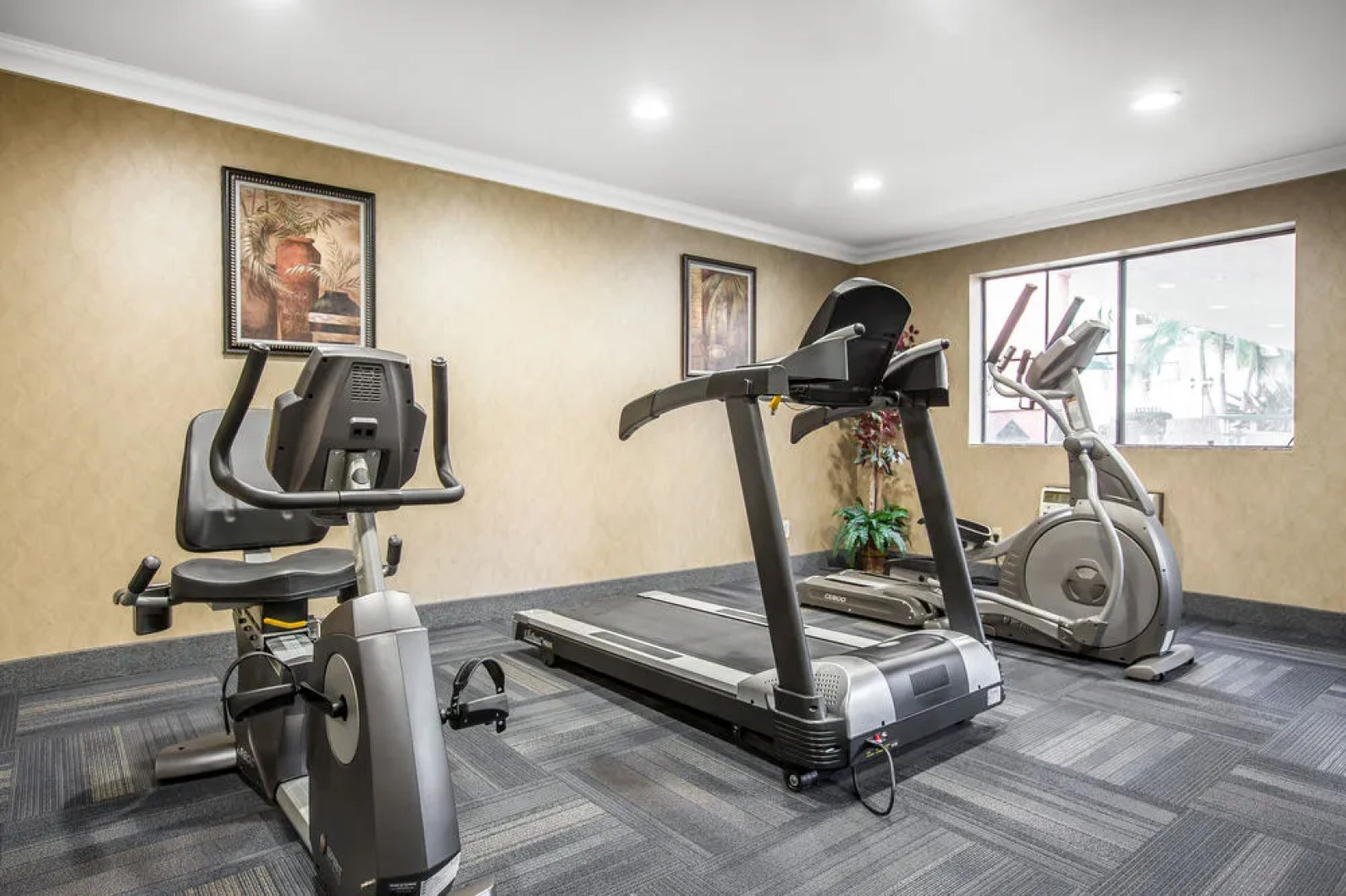 Quality Inn & Suites