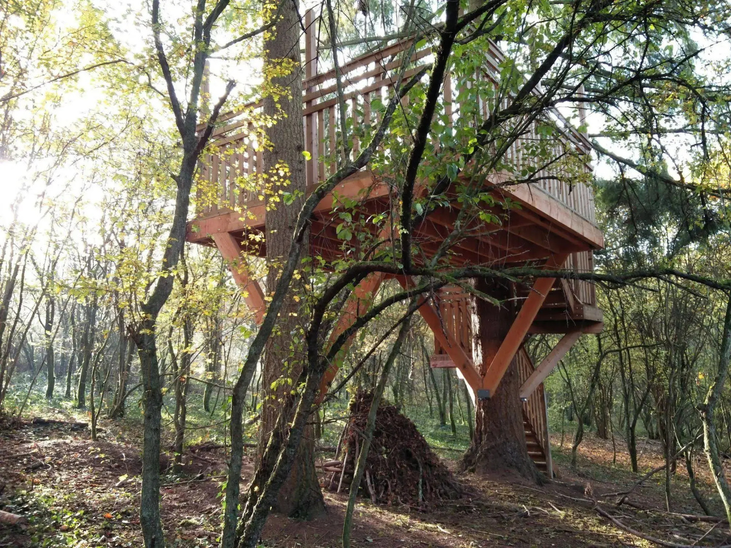 Mont-des-Pins Dennenheuvel