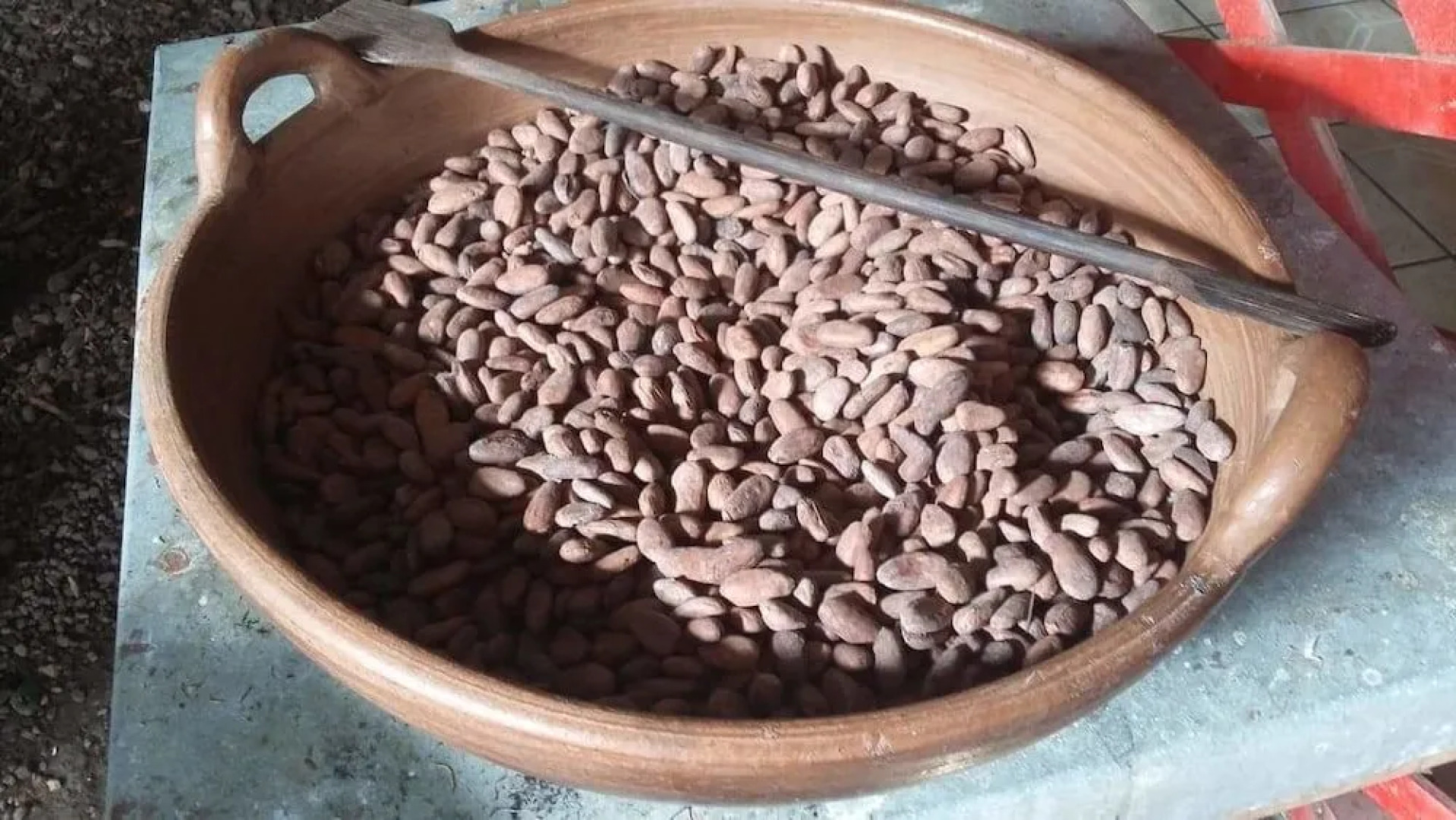 Beta Life Eco Proyecto Hostel