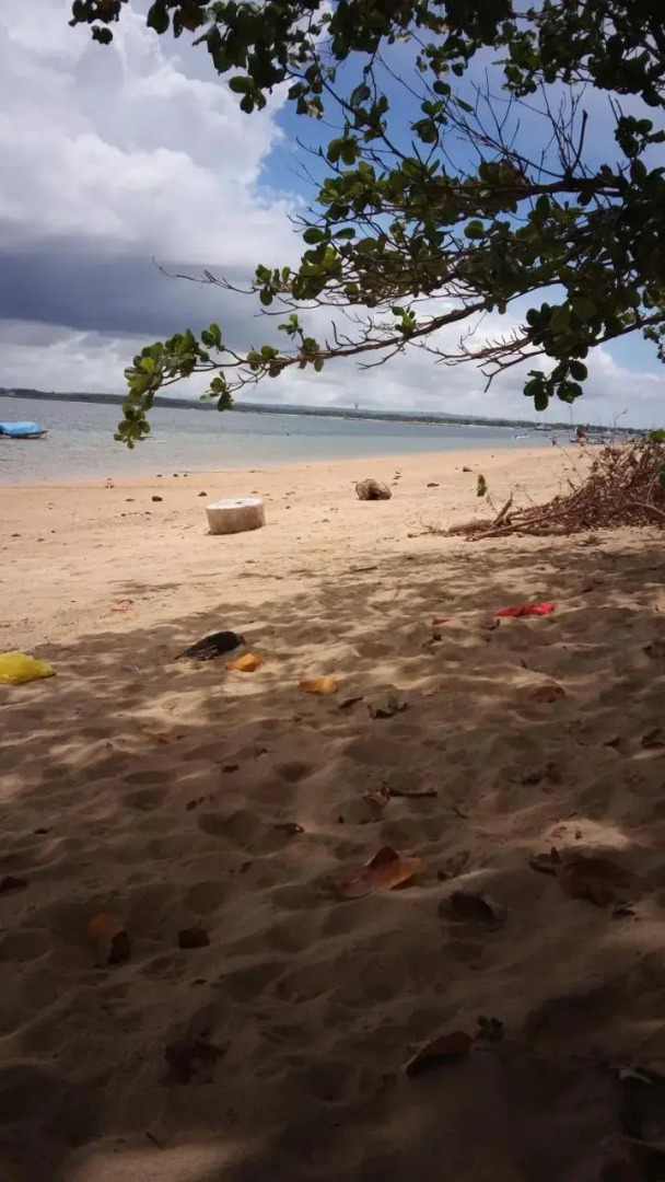 Shady Grove Healing Centre and Homestay