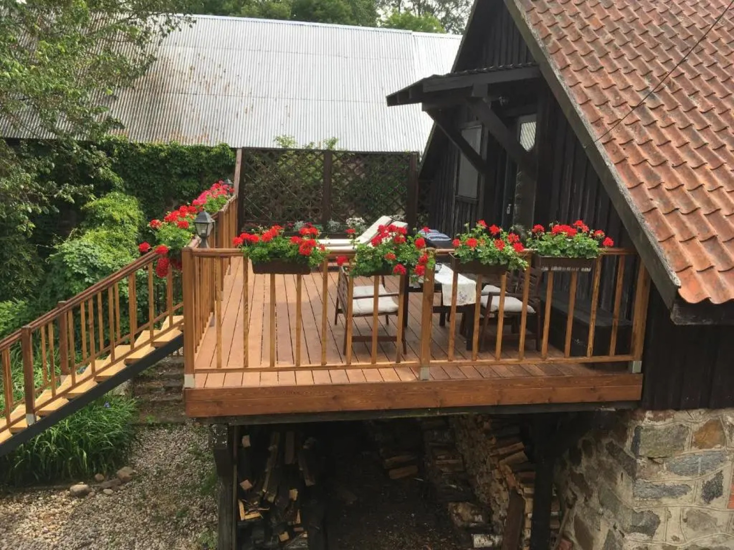 Siedlisko Dzika Kaczka