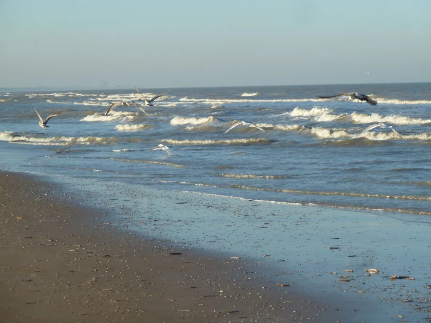 Nicolette Appartementen