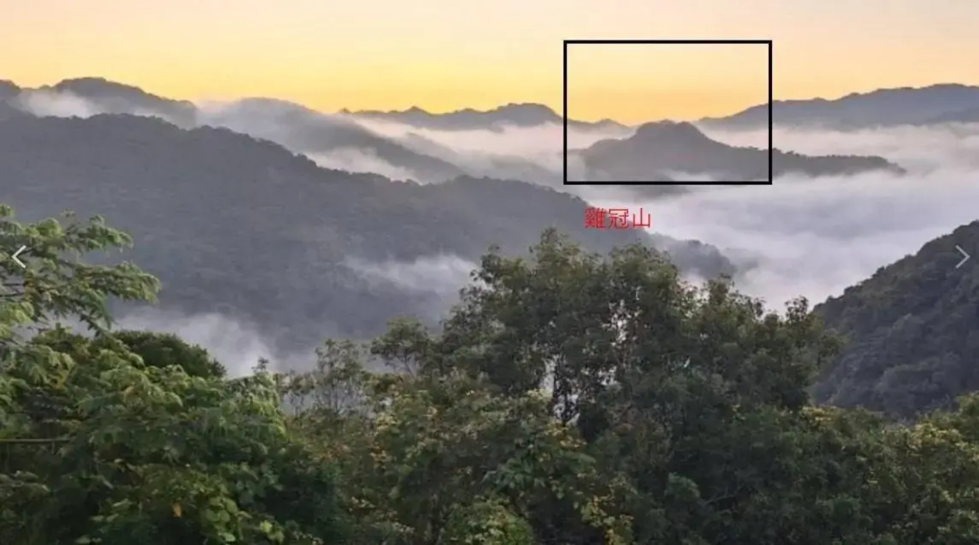 Taiwan Reishi Expert Bed and Breakfast