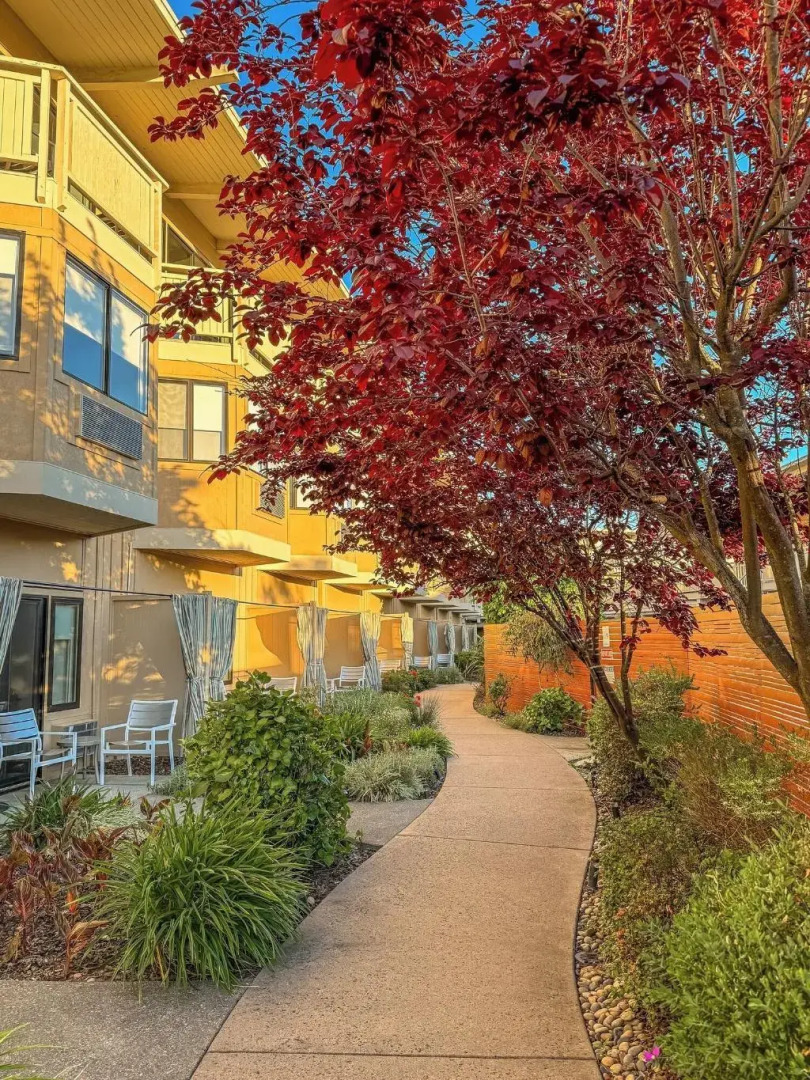 The Lodge at Tiburon