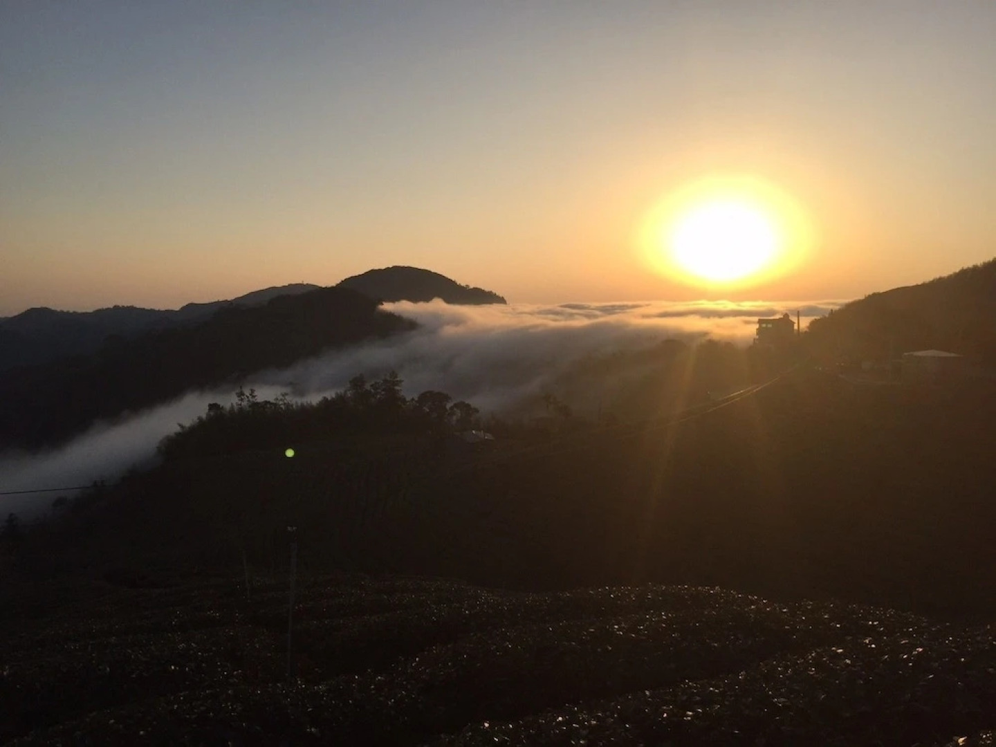 Tea Cloud Guest House