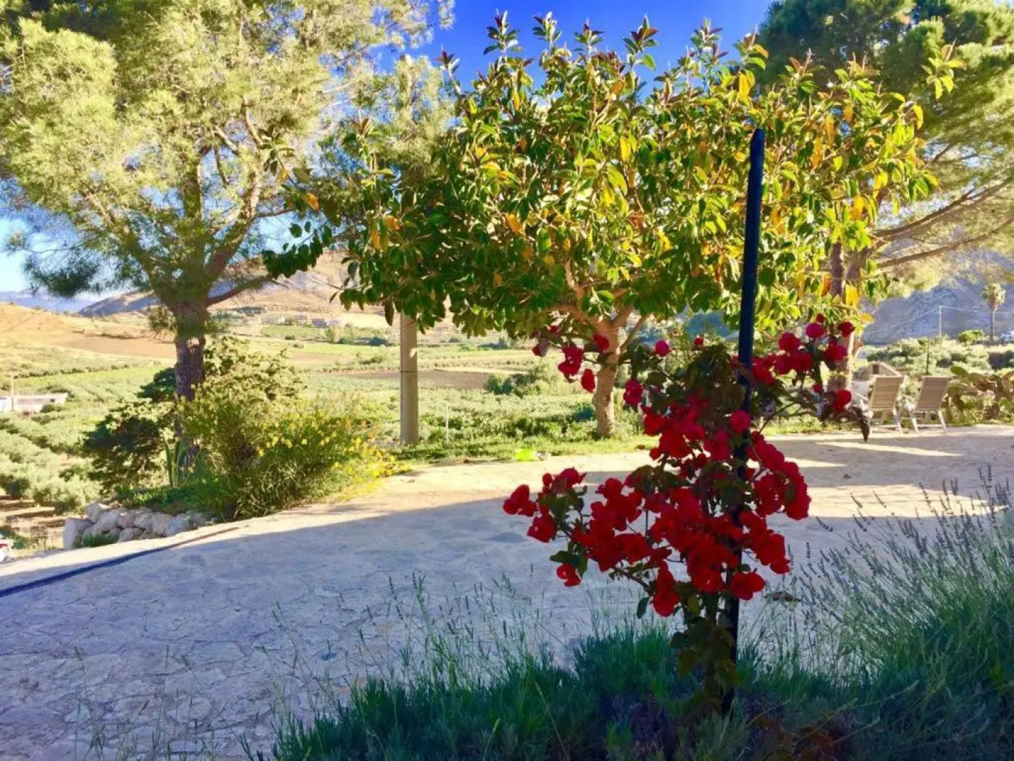 Agriturismo Casebianche