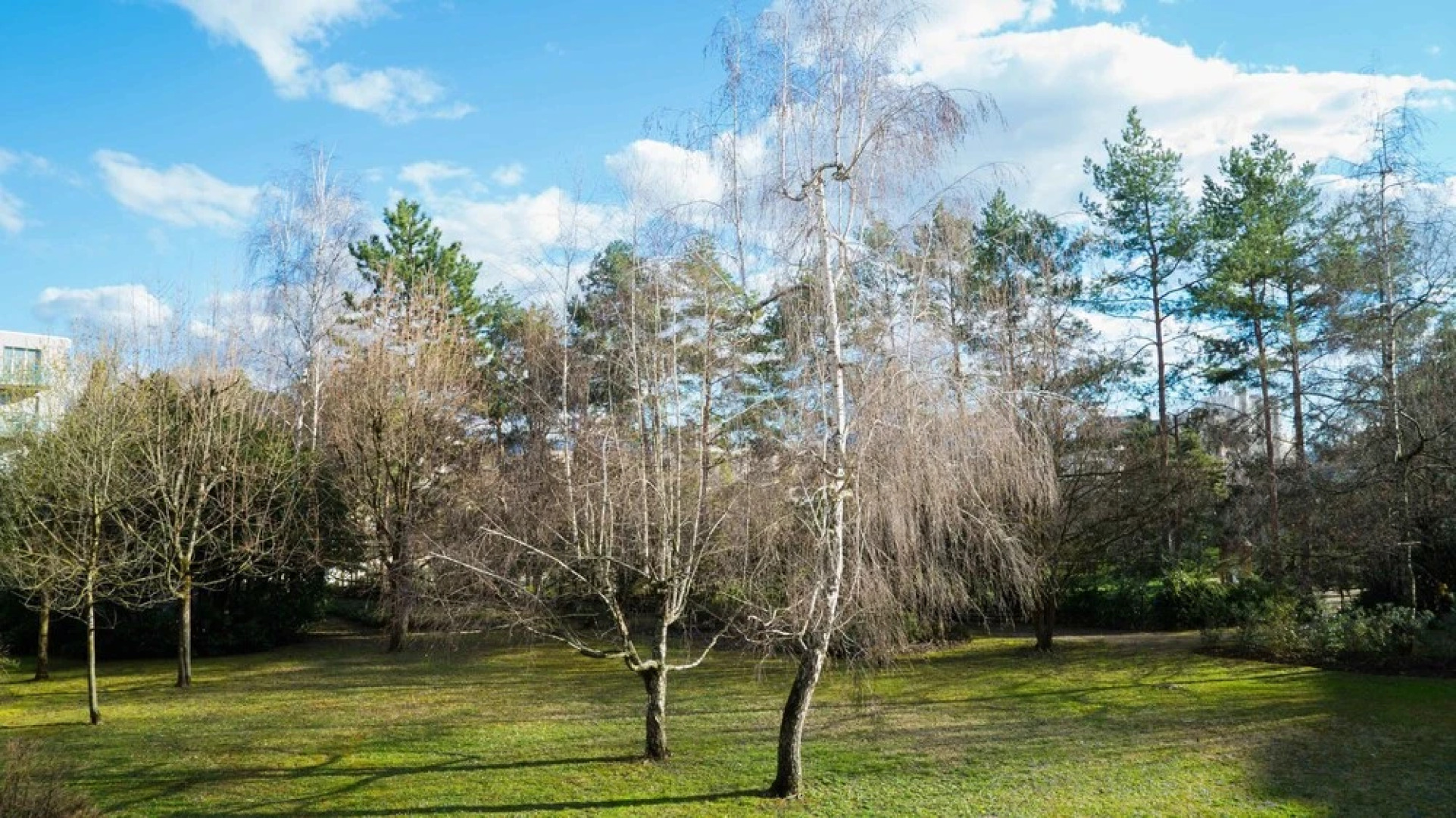 Spacieux Appartement Avec Terrasse et Parking Grenoble