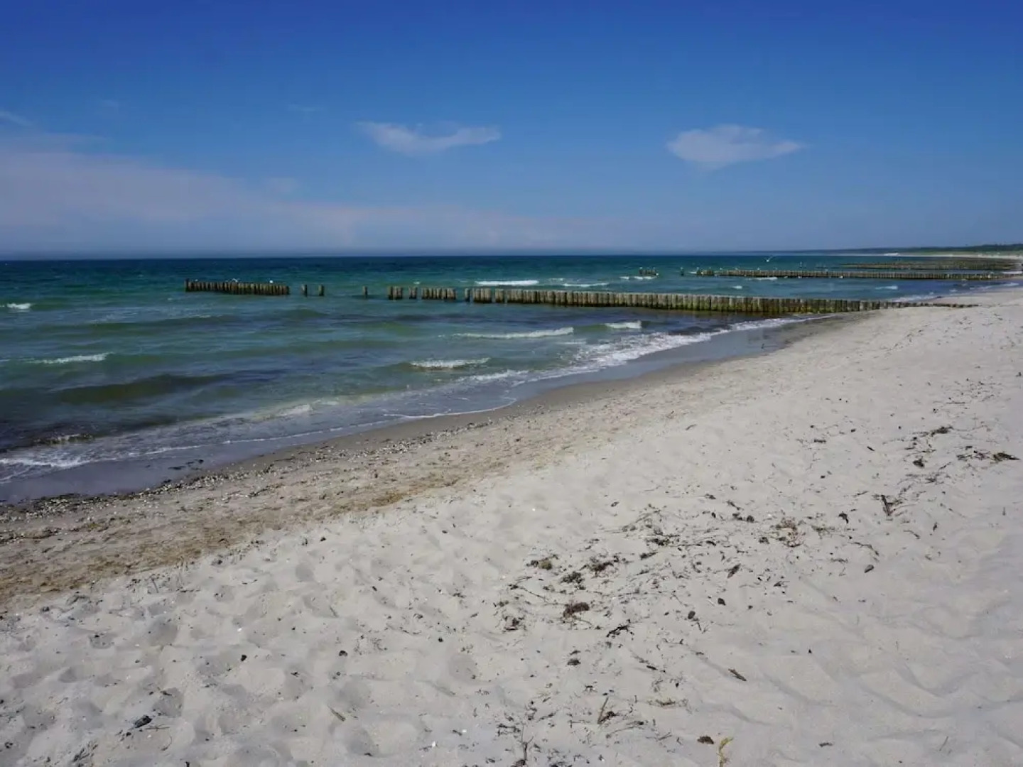 Wohnung mit Garten in Wieck a. Darss