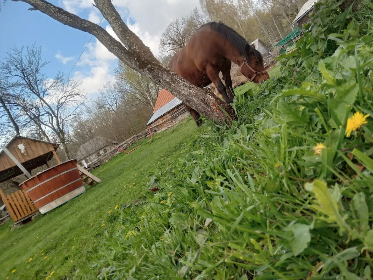 Room in B&B - Camping Retreat Mountain Sanctuary