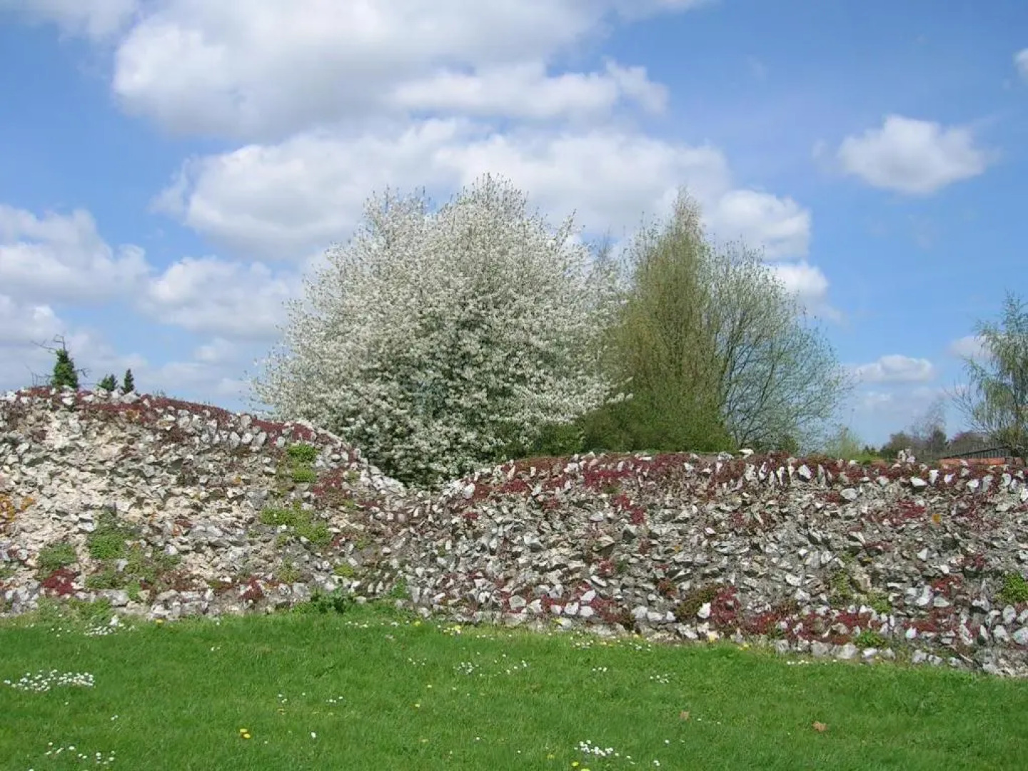 Eburon Hotel - Different Hotels