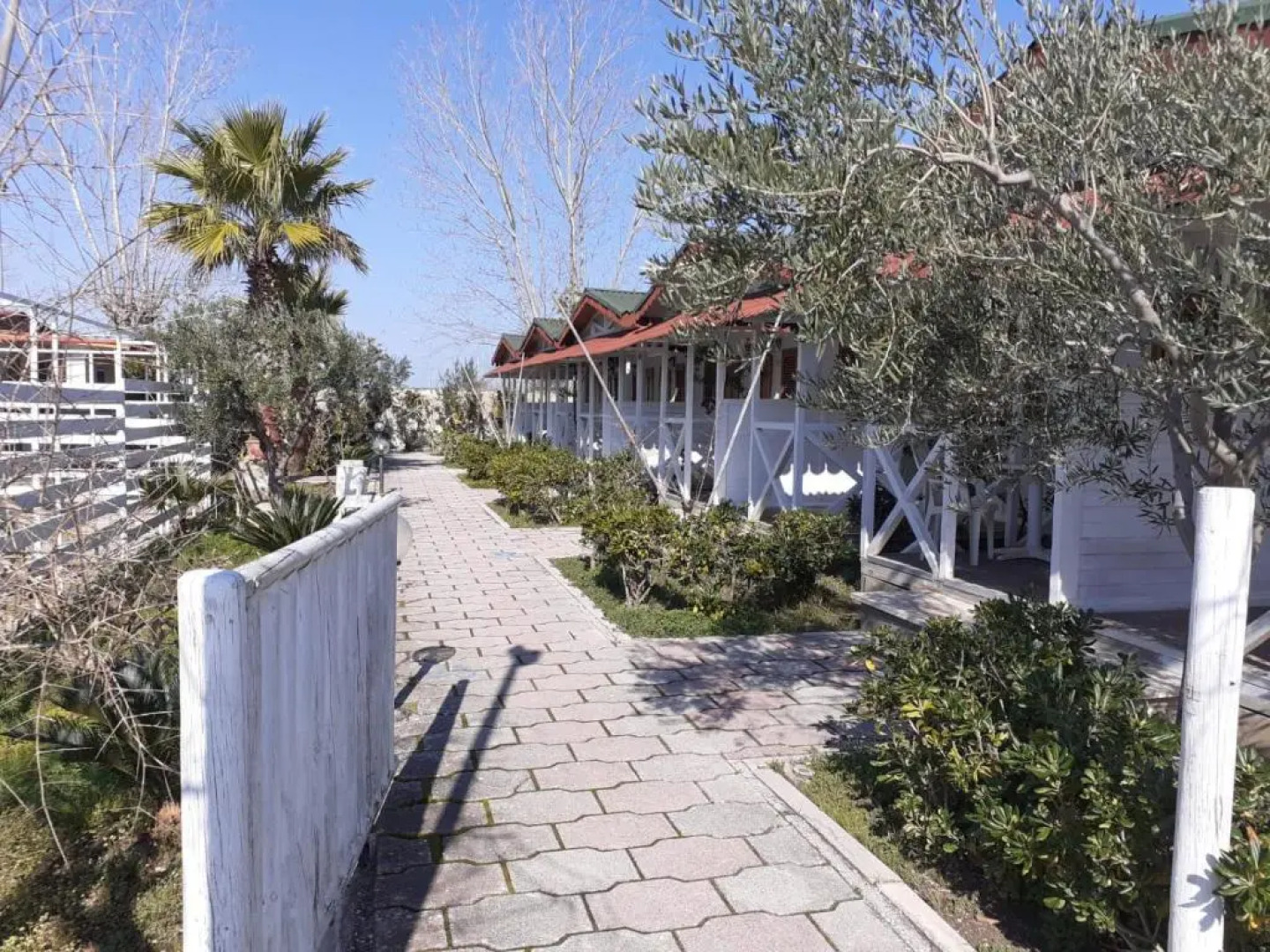 Hotel Paradiso Dei Giovani