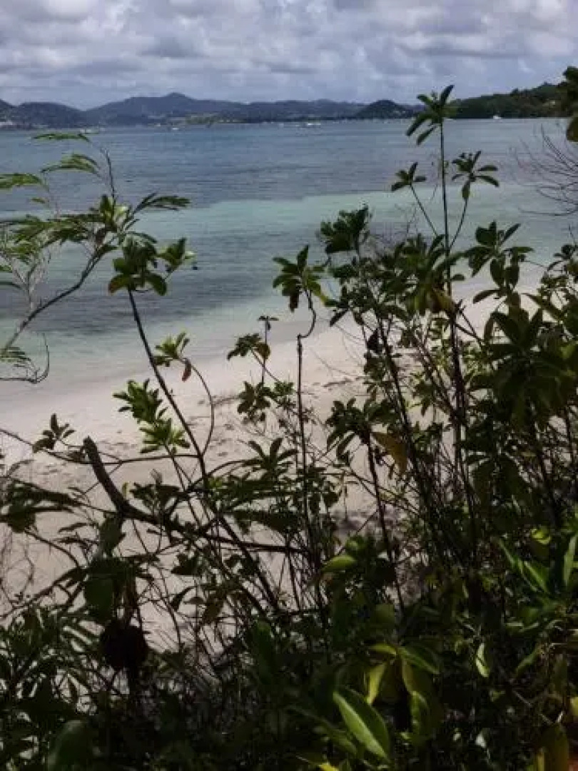 Appartements Residence Mahoghany