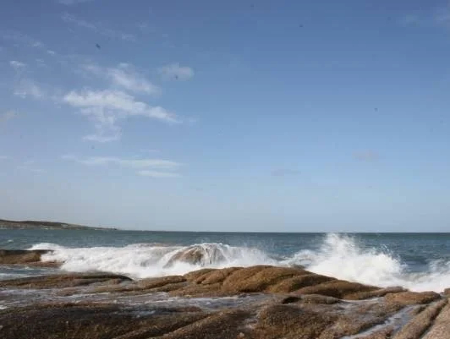 Los Pecados de la Viuda