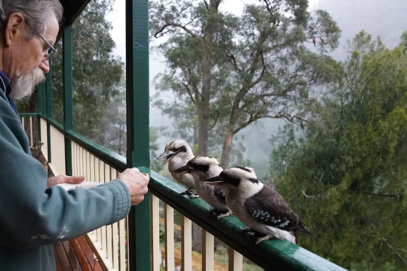 Wild Cherry Bed and Breakfast