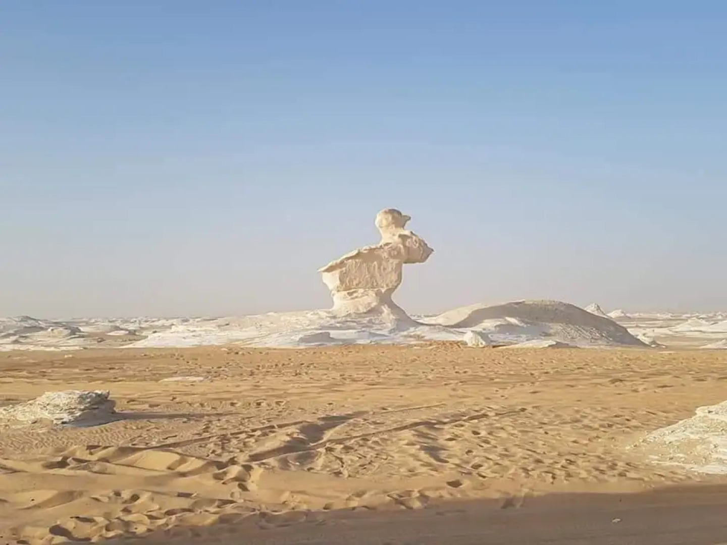 Ahmed Safari Camp & hotel