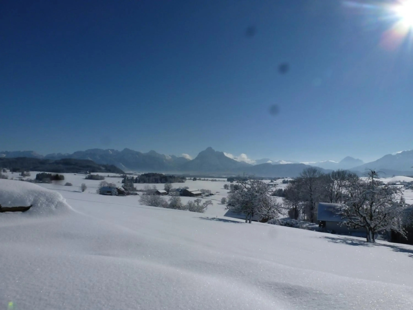 Ferienwohnung Alpenpanorama