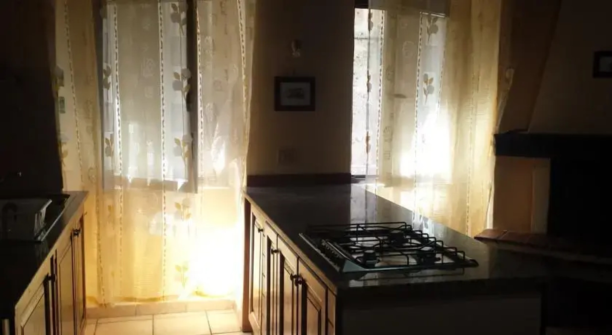 la terra degli ulivi