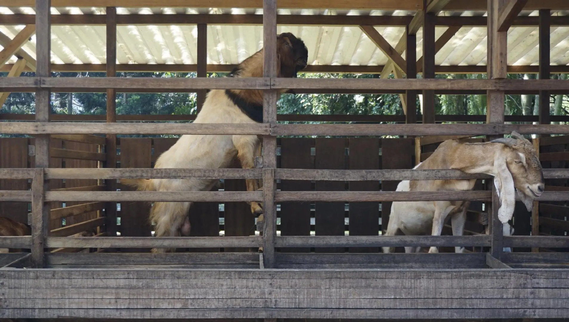 Space Hotel by Papaho