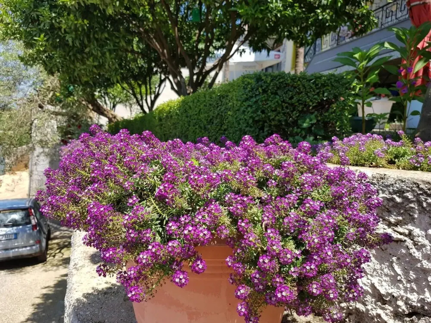 Villa Meminaj Vlore, Sea View and Garden, Vlore
