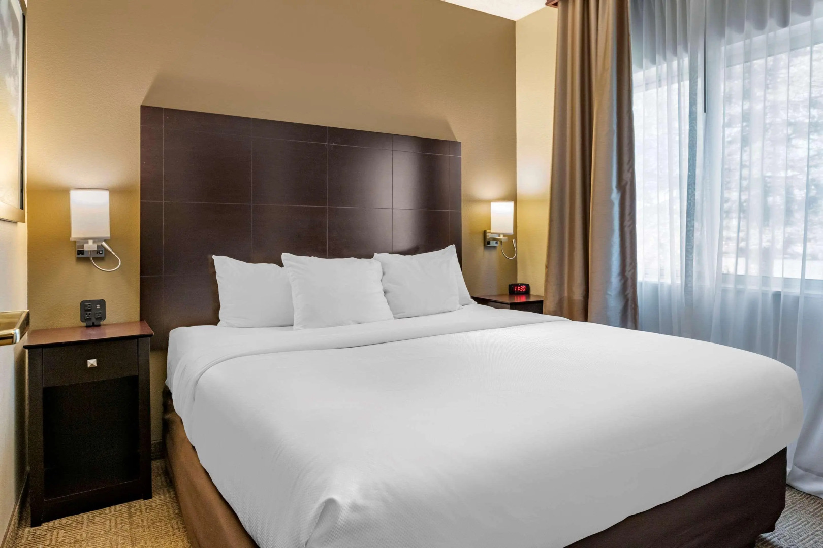 Comfort Inn And Suites Paw Paw