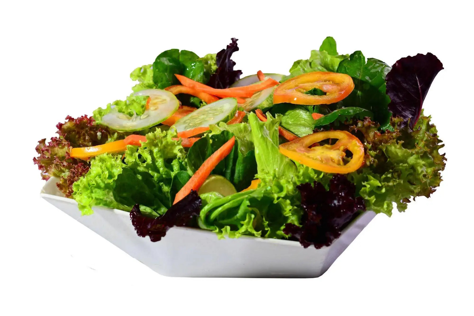 Dahilayan Forest Park Resort