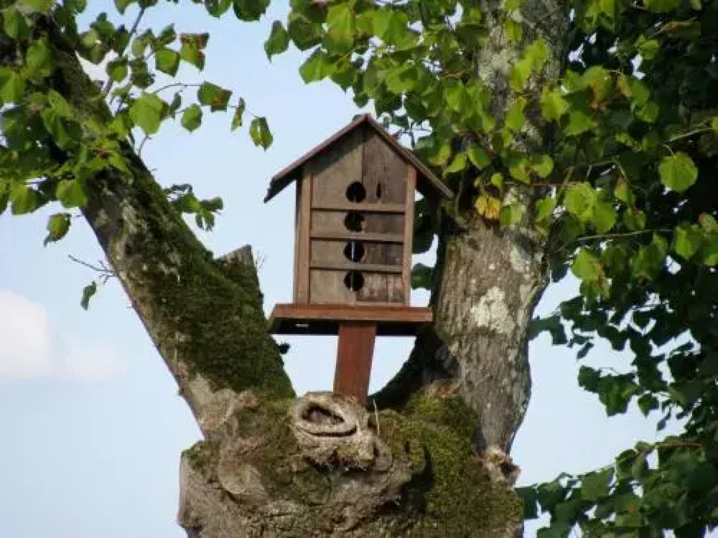 Le Domaine Des Gauliers